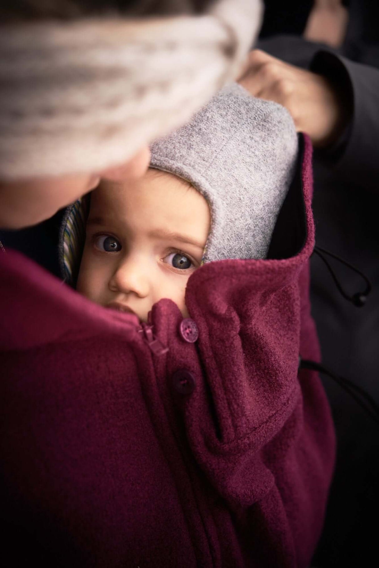 Shop Mamalila Mamalila Hooded Babywearing Coat Vienna - Berry at Babymaxi